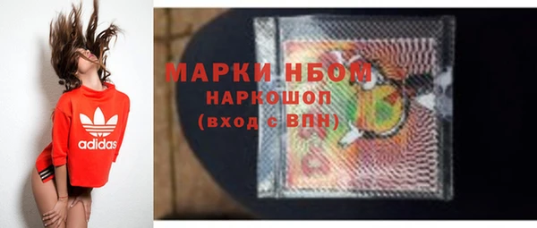 прущие грибы Болотное