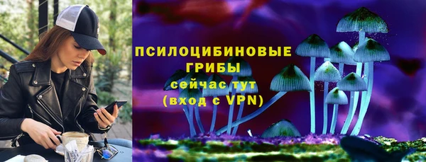 прущие грибы Болотное