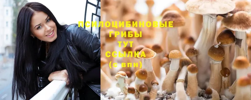 Псилоцибиновые грибы Magic Shrooms  Вилюйск 