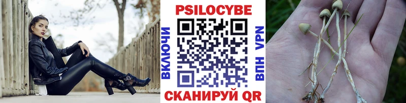 сколько стоит  Вилюйск  Галлюциногенные грибы мицелий 