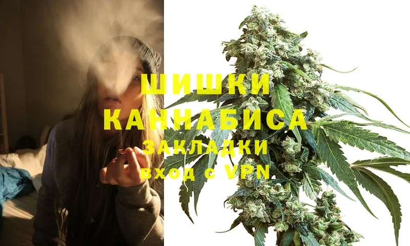 продажа наркотиков  Вилюйск  Бошки марихуана OG Kush 